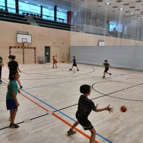 Schulsportservice Handball