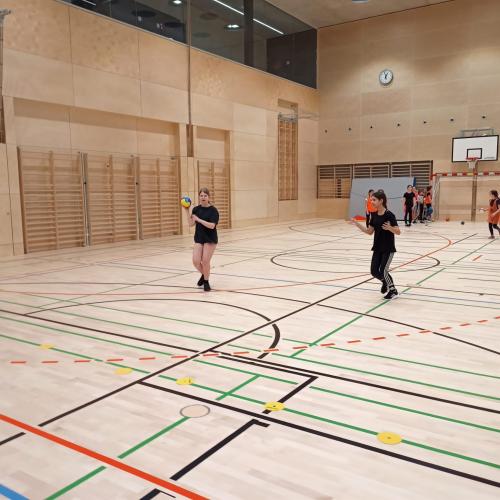 Schulsportservice Handball